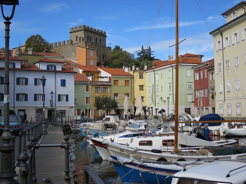 Muggia foto